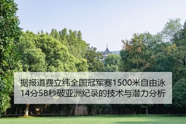 ju-bao-dao-fei-li-wei-quan-guo-guan-jun-sai-mi-zi-you-yong-fen-miao-po-ya-zhou-ji-lu-de-ji-shu-yu-qian-li-fen-xi-2-924.jpg