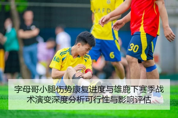 字母哥小腿伤势康复进度与雄鹿下赛季战术演变深度分析可行性与影响评估